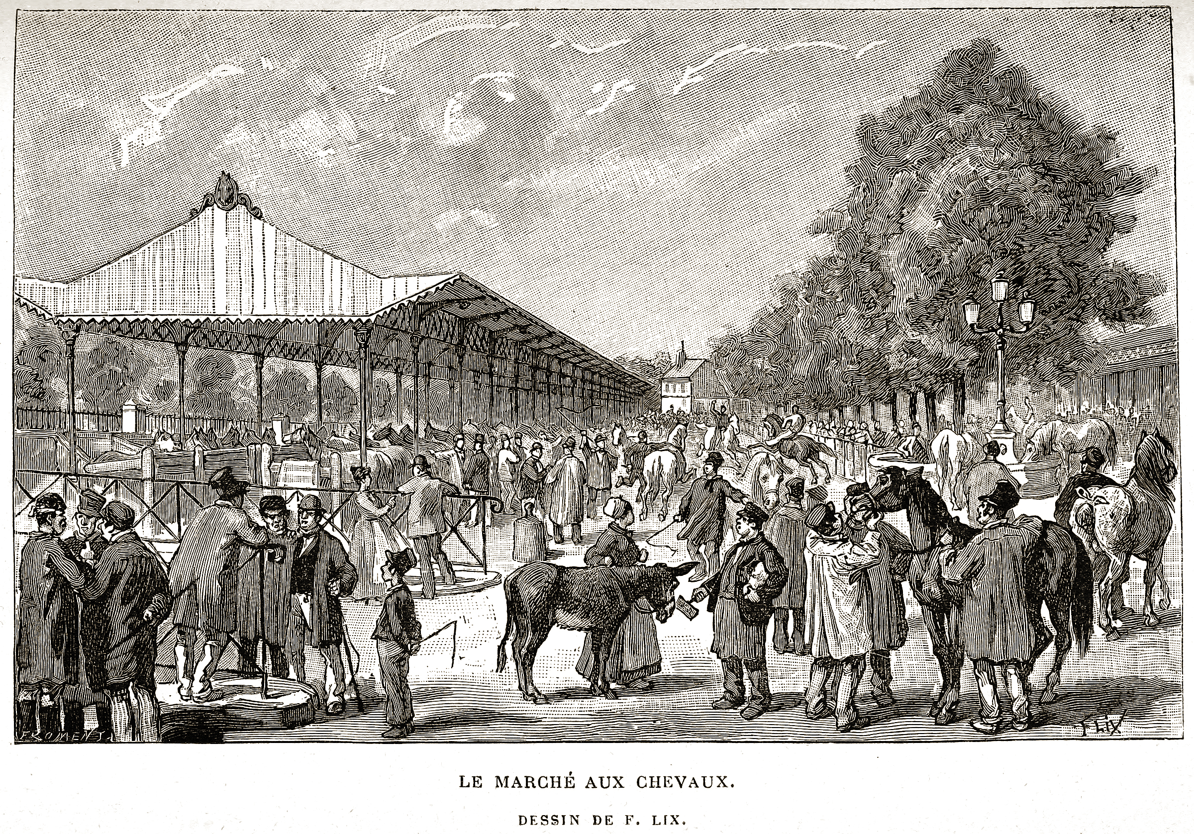 Le marché aujx chevaux